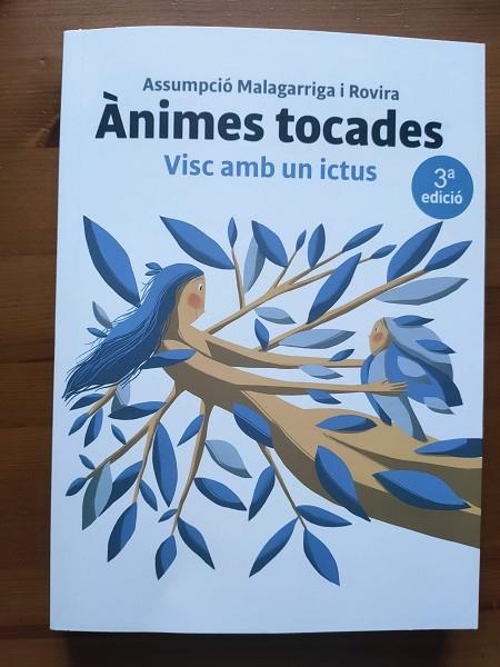 ANIMES TOCADES. VISC AMB UN ICTUS (  ALMAS TOCADAS. VIVO CON UN ICTUS )  | 9788409385812 | MALAGARRIGA I ROVIRA, ASSUMPCIÓ