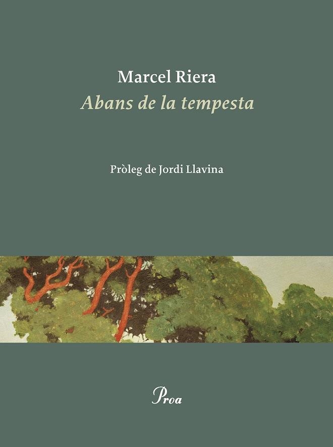 ABANS DE LA TEMPESTA | 9788475889900 | RIERA BOU, MARCEL