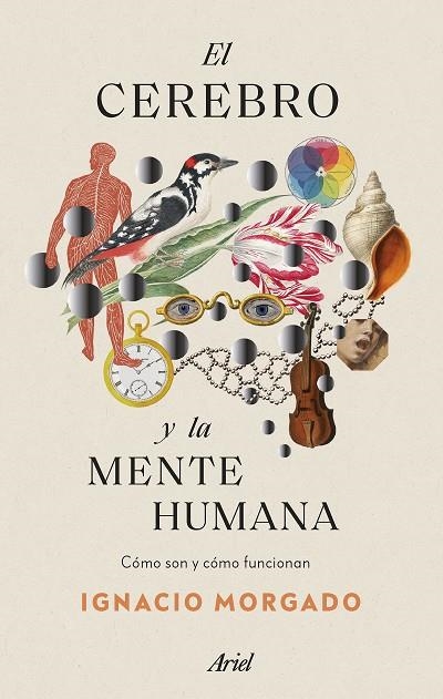 EL CEREBRO Y LA MENTE HUMANA | 9788434435988 | MORGADO, IGNACIO