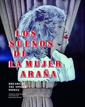 LOS SUEÑOS DE LA MUJER ARAÑA | 9788419233332 | VARIOS AUTORES