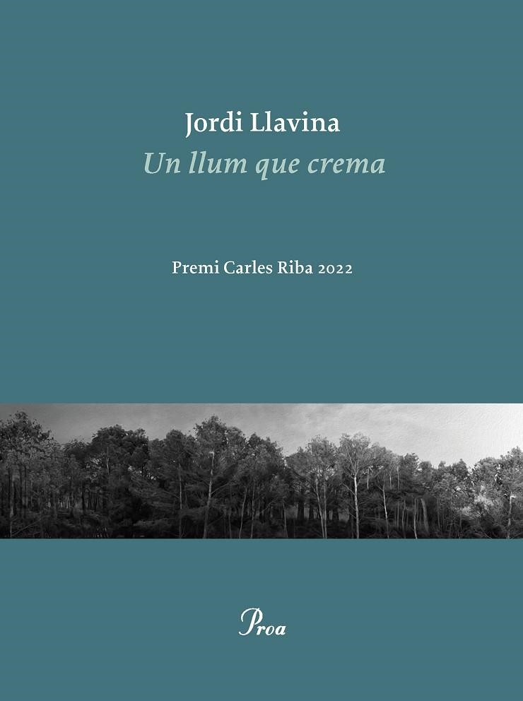 UN LLUM QUE CREMA | 9788475889979 | LLAVINA, JORDI