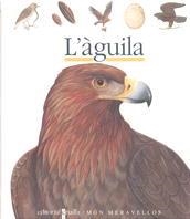 L AGUILA | 9788476298220 | GALLIMARD JEUNESSE, ÉDITIONS