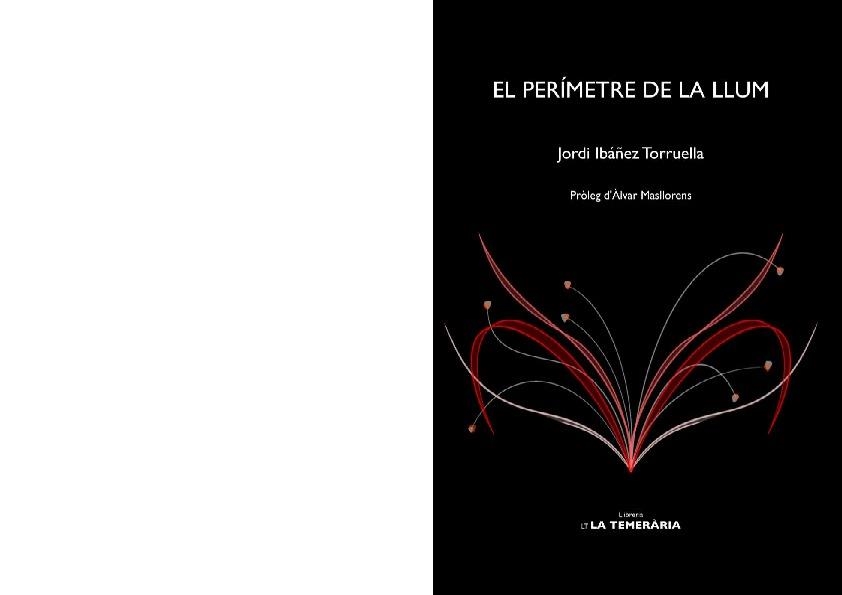 EL PERÍMETRE DE LA LLUM | 9788412356441 | IBÁÑEZ TORRUELLA, JORDI