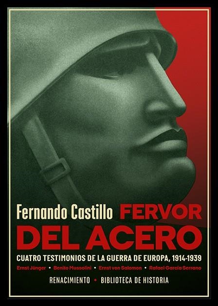 FERVOR DEL ACERO. CUATRO TESTIMONIOS DE LA GUERRA DE EUROPA | 9788419791313 | CASTILLO, FERNANDO