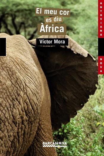 EL MEU COR ES DIU AFRICA | 9788448919160 | MORA