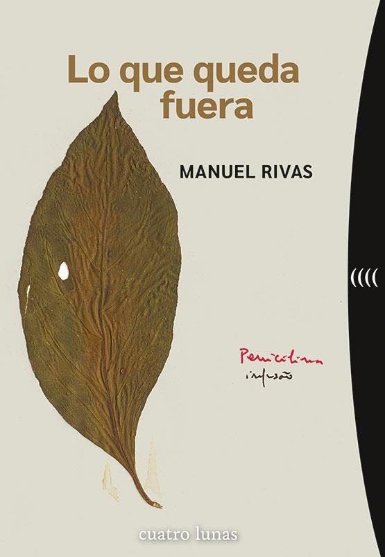 LO QUE QUEDA FUERA | 9788419783103 | RIVAS, MANUEL