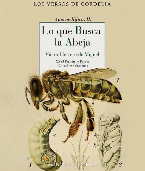 LO QUE BUSCA LA ABEJA | 9788419124685 | HERRERO DE MIGUEL, VÍCTOR