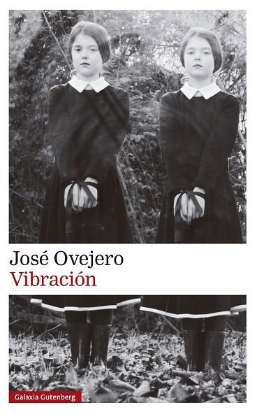 VIBRACIÓN | 9788419738615 | OVEJERO, JOSÉ