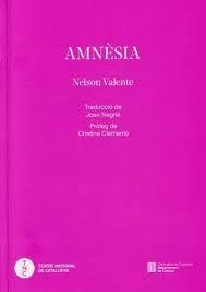 AMNÈSIA | 9788410144149 | VALENTE, NELSON