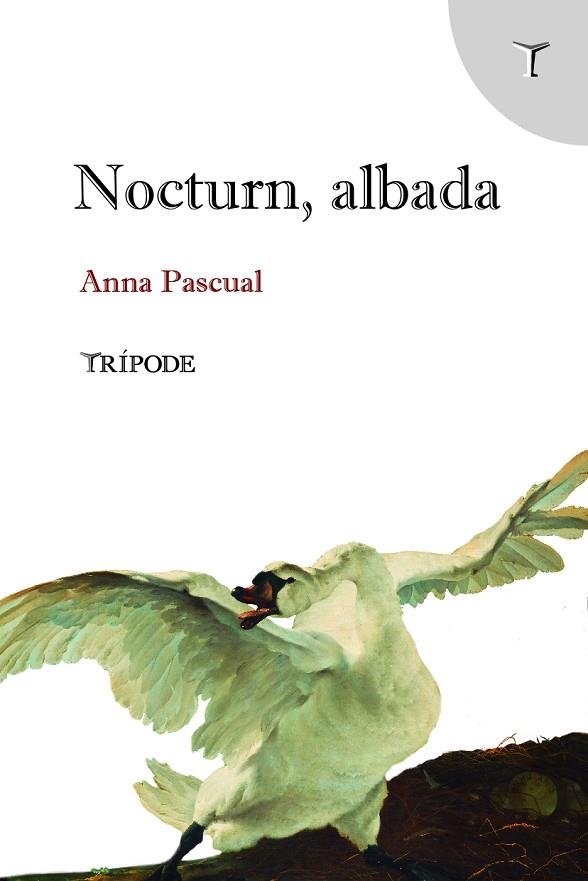 NOCTURN, ALBADA | 9788412817997 | PASCUAL VALL, ANNA