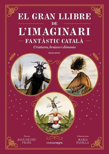 EL GRAN LLIBRE DE L'IMAGINARI FANTÀSTIC CATALÀ | 9788410161344 | PRATS, JOAN DE DÉU/PADILLA, MARIA