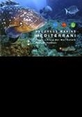 RECURSOS MARINS DEL MEDITERRANI | 9788439377443 | LLORIS, DOMENEC; MES