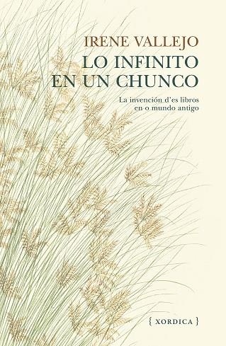 LO INFINITO EN UN CHUNCO - ARAGONES | 9788416461486 | VALLEJO, IRENE