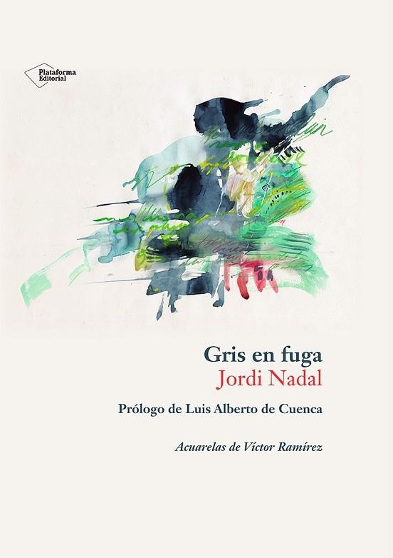 GRIS EN FUGA | 9788410243897 | NADAL HERNÁNDEZ, JORDI