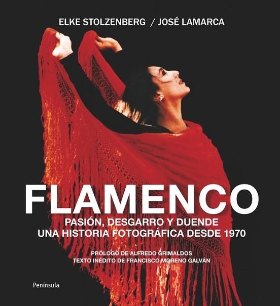 FLAMENCO | 9788499421636 | VARIS