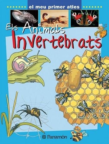 ELS ANIMALS INVERTEBRATS | 9788434227149 | VARIS