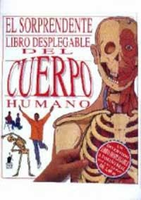 SORPRENDENTE LIBRO DEL CUERPO HA | 9788427241619 | HAWCOCK, DAVID