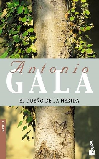 EL DUEÑO DE LA HERIDA | 9788408052159 | GALA