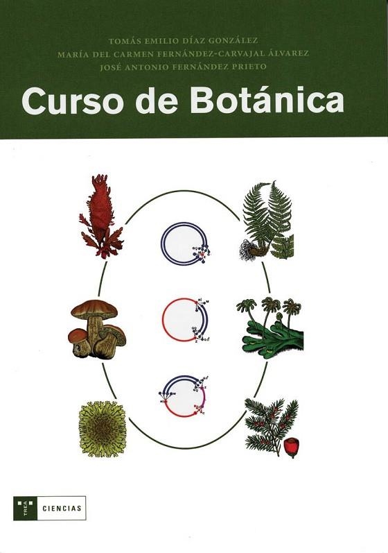 CURSO DE BOTÁNICA | 9788497041133 | DíAZ GONZáLEZ, TOMáS EMILIO/FERNáNDEZ-CARVAJAL ÁLVAREZ, Mª CARMEN/FERNáNDEZ PRIETO, JOSé A.