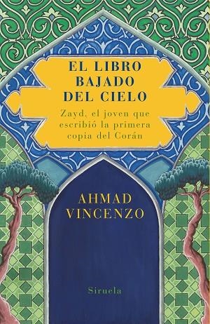 LIBRO BAJADO DEL CIELO | 9788478449712 | VINCENZO