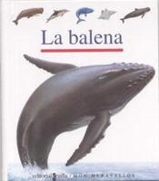 BALENA | 9788482868264 | DIVERS